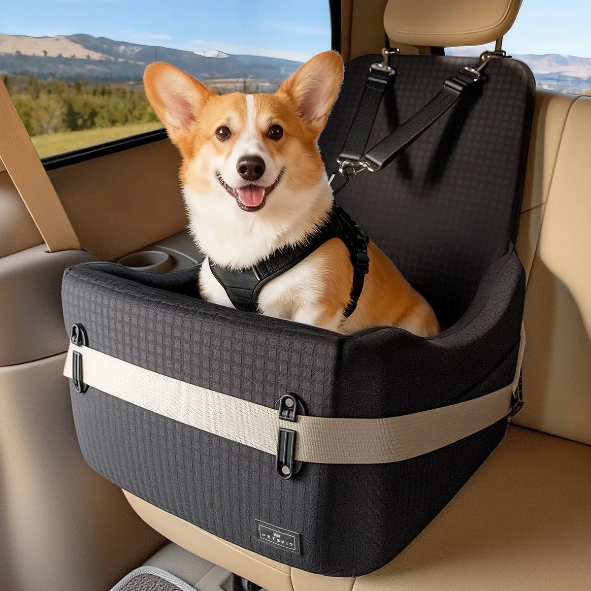 [5-Year Warranty] PETSFIT Dog Booster Car Seat for Small/Medium Dogs up to 35 Lbs – Patented Safety System, 6" Memory Foam Pet Car Seat, Fully Detachable and Washable Cover, Front/Back Seat Travel Booster
