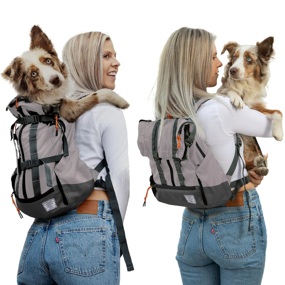 Urban 3 | Dual Use Dog Carrier & Traditional Backpack
